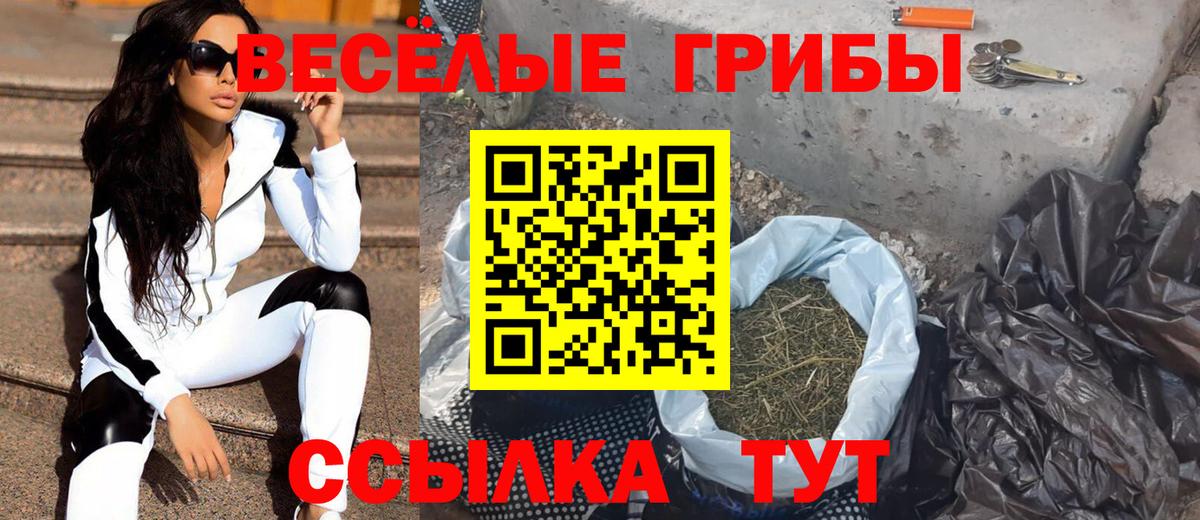 Галлюциногенные грибы Psilocybe Хабаровск