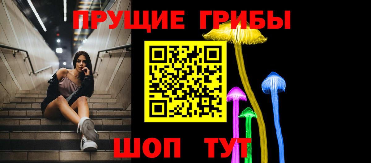 купить наркотики сайты  Галлюциногенные грибы Cubensis  Вход с VPN  Хабаровск 